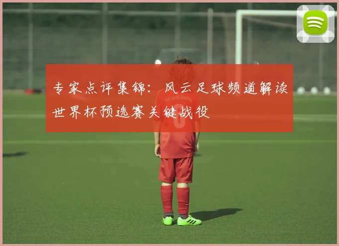 专家点评集锦:风云足球频道解读世界杯预选赛关键战役