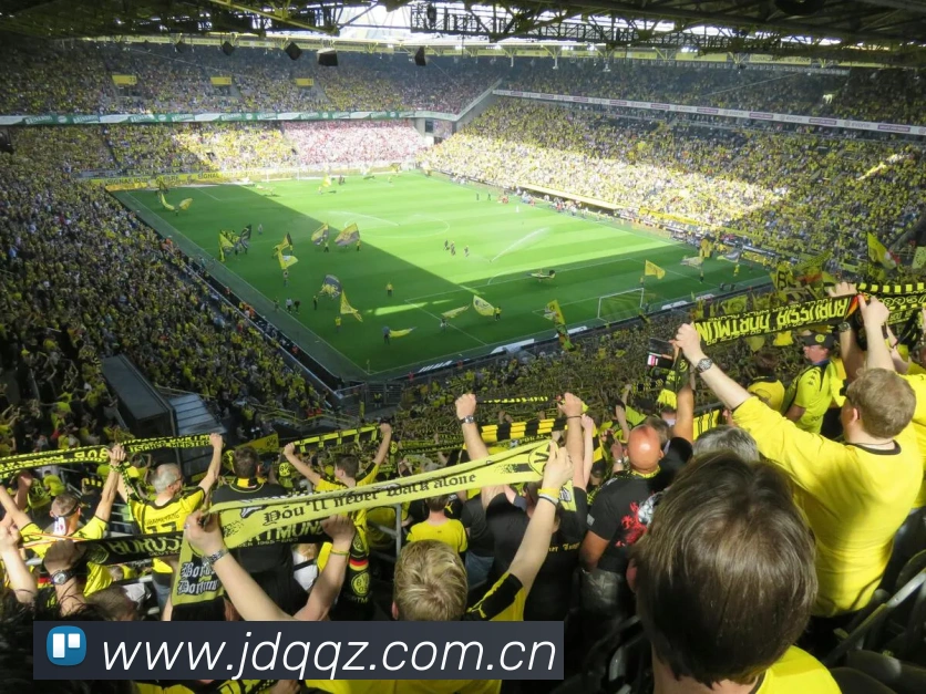 leyu乐鱼在线登录最新官网APP 封面图